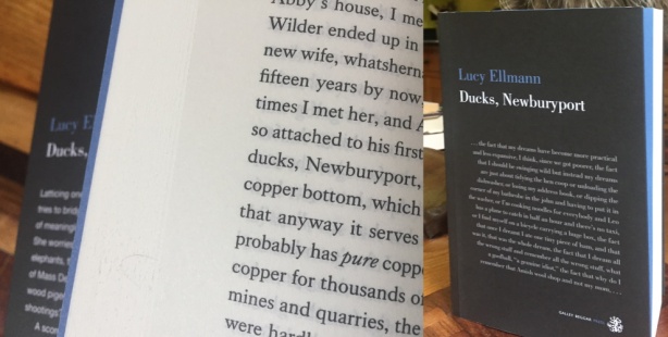 ducks-newburyport-lucy-ellmann